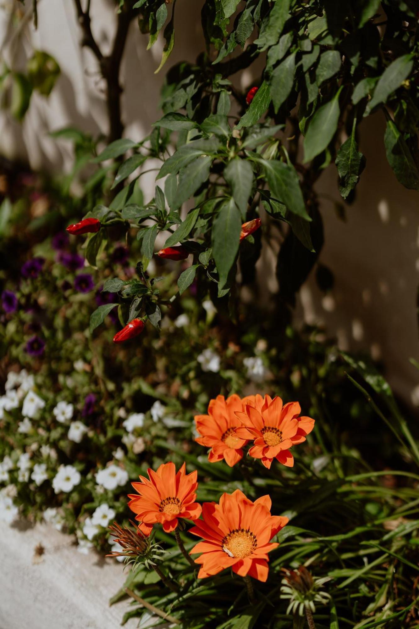 Il Giardino Della Tartaruga Hotel เจนัว ภายนอก รูปภาพ